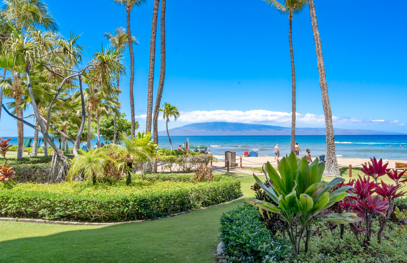 Kaanapali Alii 3-106 | Maui Resort Rentals