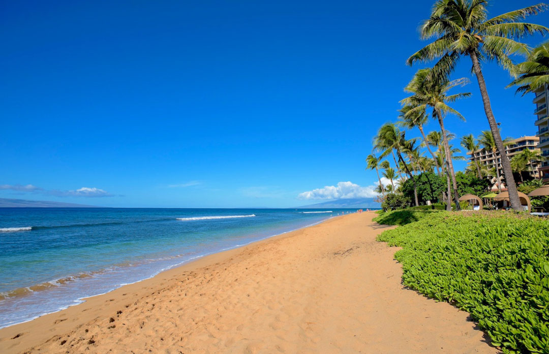 Beach Chair Rental Lahaina, Kaanapali & Kapalua