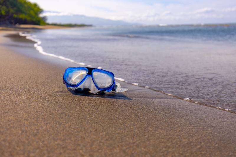 Best Snorkeling Beaches in Maui for Beginners: A Complete Guide