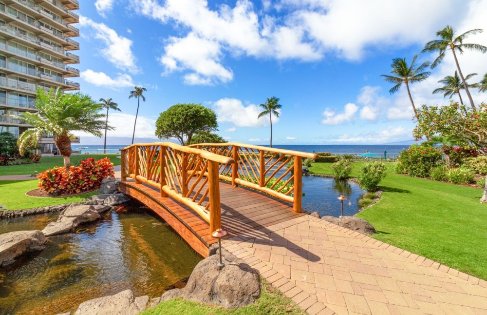 Pause for a photo on the nature-inspired bridge