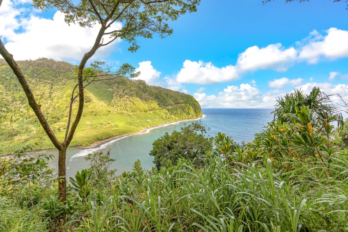 Road to Hana Overlook