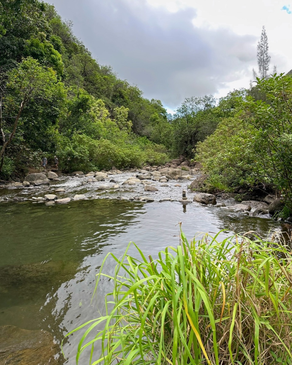 Iao Valley