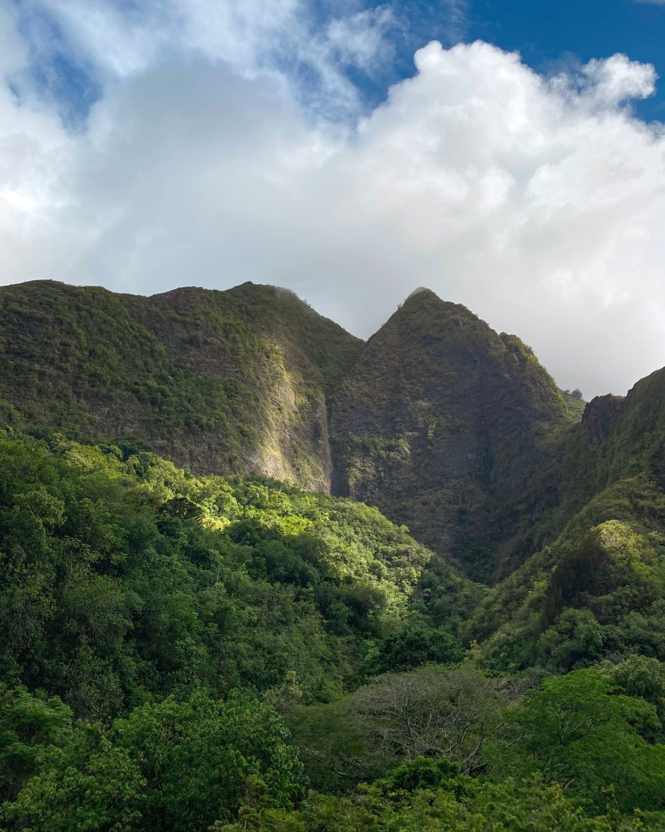 Iao Valley